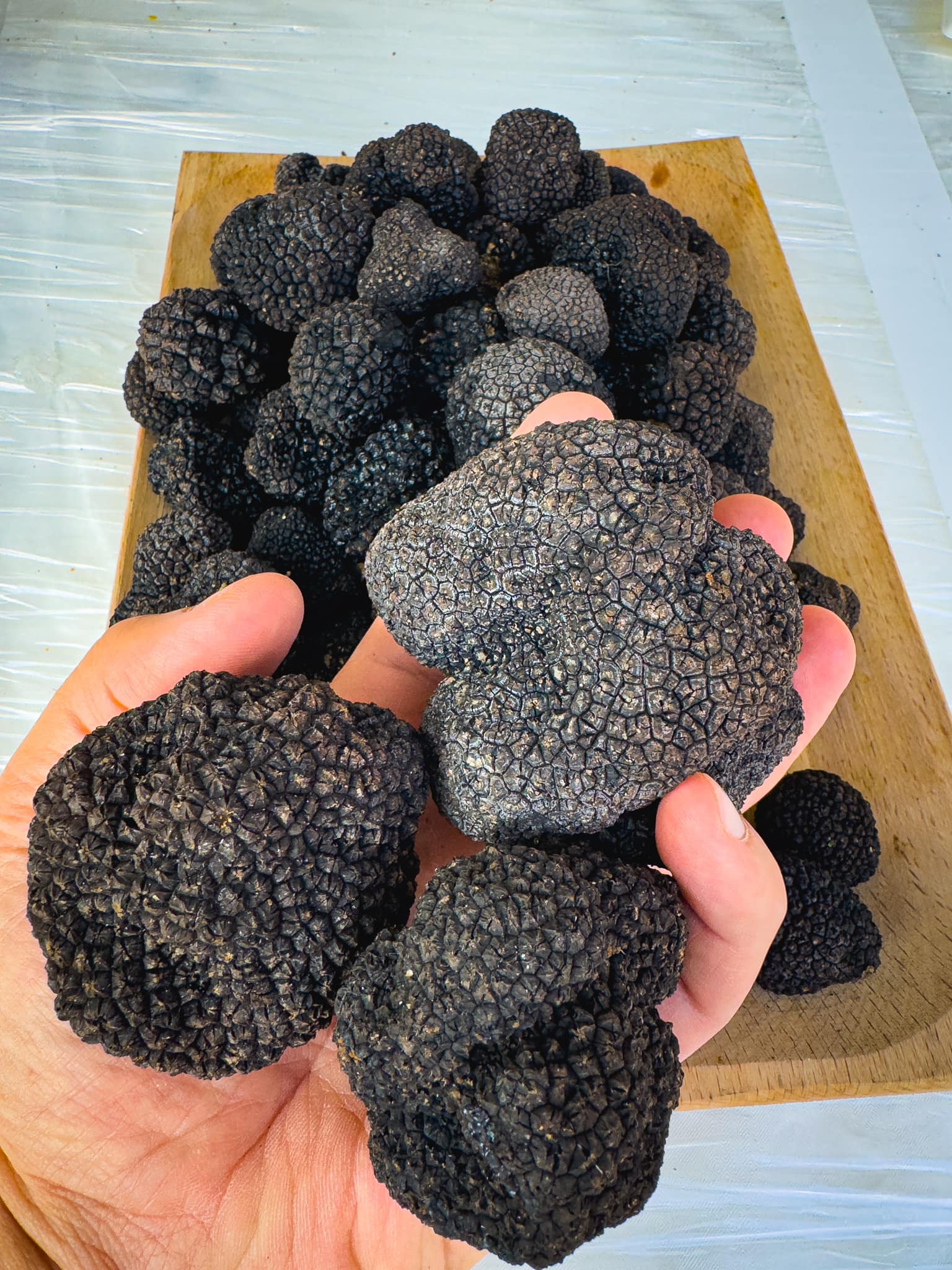Tartufo 1-Tommaso Labella-Borgo-del-Tartufo-Tommaso-Labella