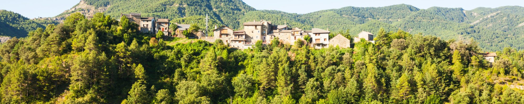 General view of Pyrenees village in forest. Puyarruego, Aragon